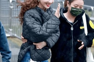 金晨增重20斤惊艳蜕变，微胖美学引热议