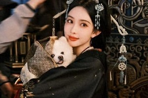 精彩图片集锦：视觉盛宴一览