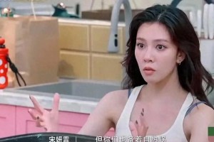 宋妍霏自热锅事件再引争议，浪姐6重提旧事被批撒谎