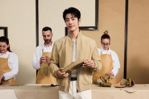 肖战惊喜现身孙燕姿2025演唱会，低调追星获偶像感谢