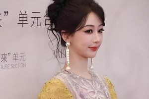 杨紫整容风波：容貌焦虑与演艺生涯的反思