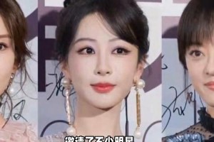杨紫北影节亮相引热议：面部状态与整容疑云