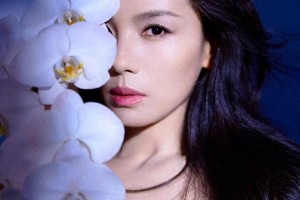 精选图片集锦：视觉盛宴一览